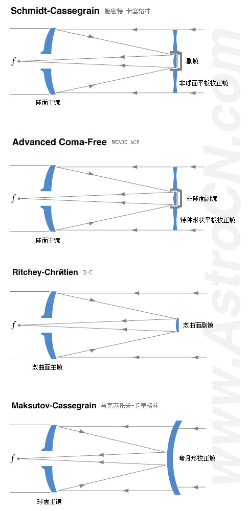 Columns 栏目