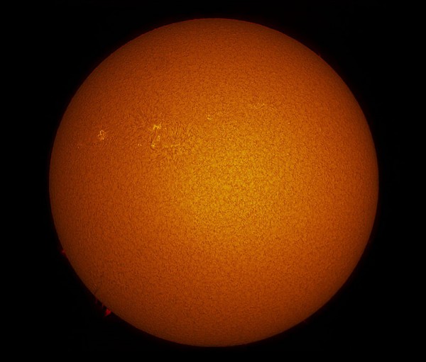 20091119mosaic_small_764_211