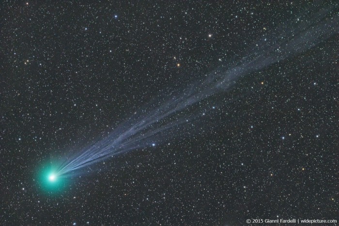 Gianni-Fardelli-Lovejoy-c2014-Q2_16_1_2015-RGB-1200px_1421583227