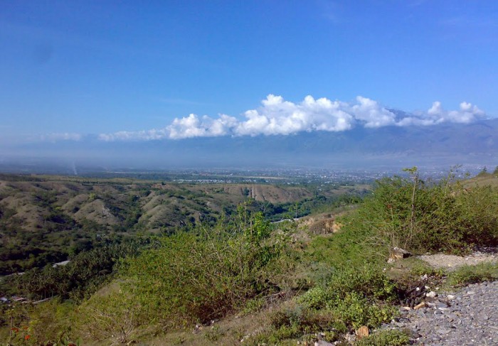 palu